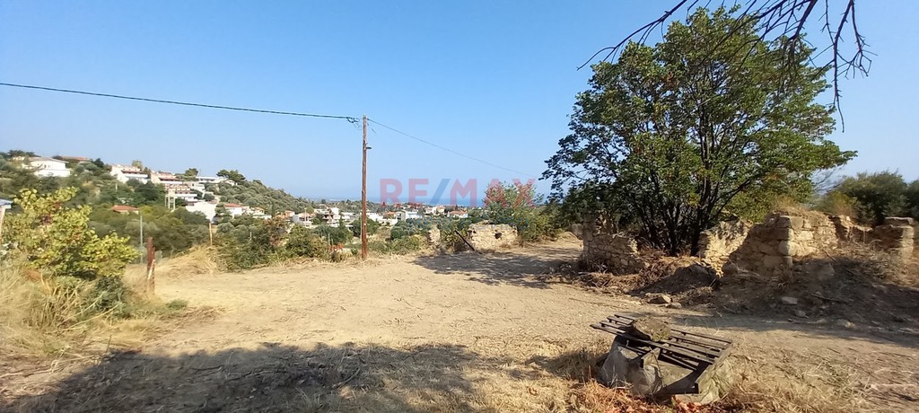 Οικόπεδο 1.695 τ.μ. πρός πώληση, Αττική - Υπόλοιπο, Μαρκόπουλο Ωρωπού
