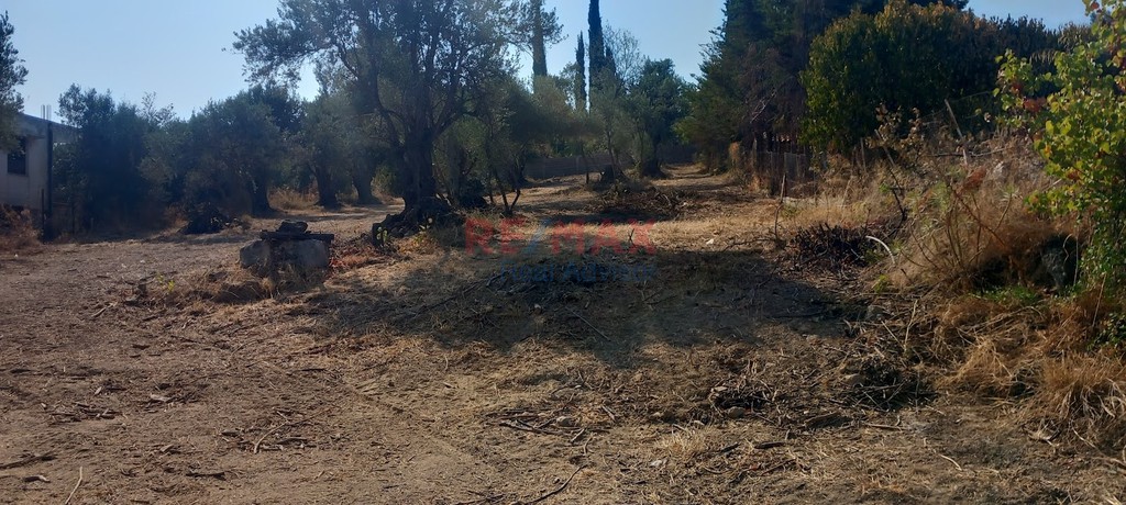 Οικόπεδο 1.695 τ.μ. πρός πώληση, Αττική - Υπόλοιπο, Μαρκόπουλο Ωρωπού