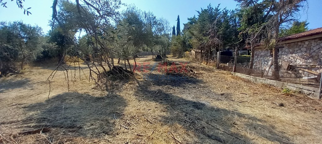 Οικόπεδο 1.695 τ.μ. πρός πώληση, Αττική - Υπόλοιπο, Μαρκόπουλο Ωρωπού