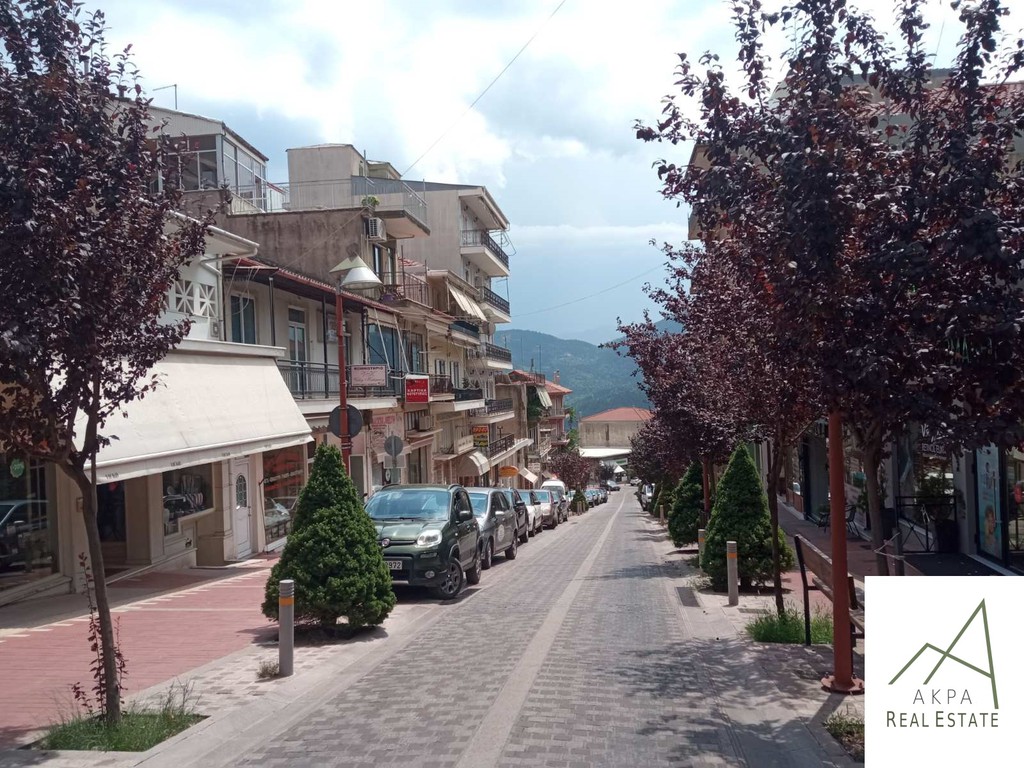 Επιχειρηματικό κτίριο 70 τ.μ. πρός πώληση, Ευρυτανία, Καρπενήσι