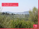 Οικόπεδο 1.720τ.μ. για πώληση-Νέστορας