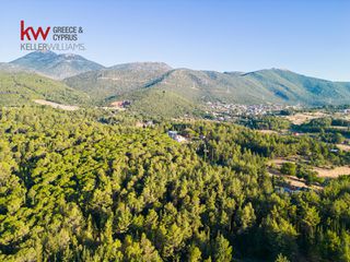 Οικόπεδο 13.000 τ.μ. για πώληση, Αρκαδία, Τρίπολη-thumb-20
