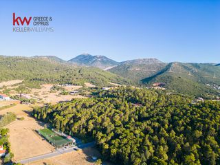 Οικόπεδο 13.000 τ.μ. για πώληση, Αρκαδία, Τρίπολη-thumb-13