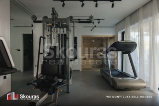 Βίλλα 251,23 τ.μ. για πώληση, Ν. Λευκάδας, Λευκάδα-thumb-15