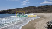 Αγροτεμάχια 5.358τ.μ. για πώληση-Άνδρος