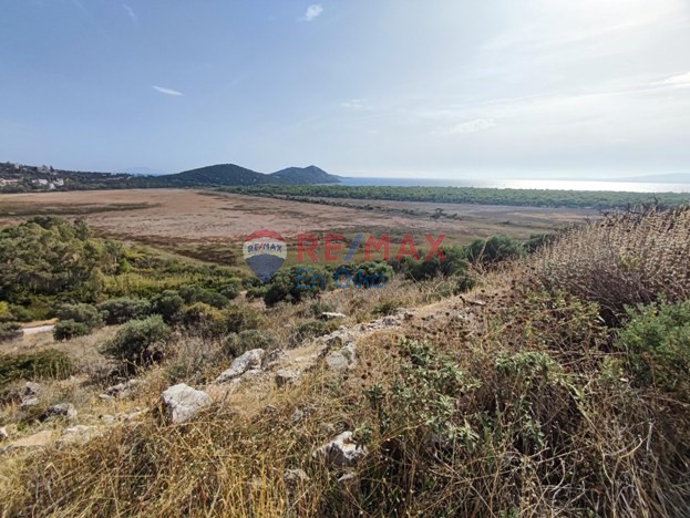 Οικόπεδο 1.030 τ.μ. προς πώληση, Δικαστικά Μαραθώνα