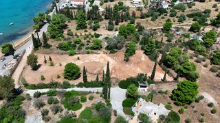 Αγροτεμάχια 4.000 τ.μ. προς πώληση, Πορτοχέλι-thumb-15