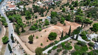 Αγροτεμάχια 4.000 τ.μ. προς πώληση, Πορτοχέλι-thumb-13