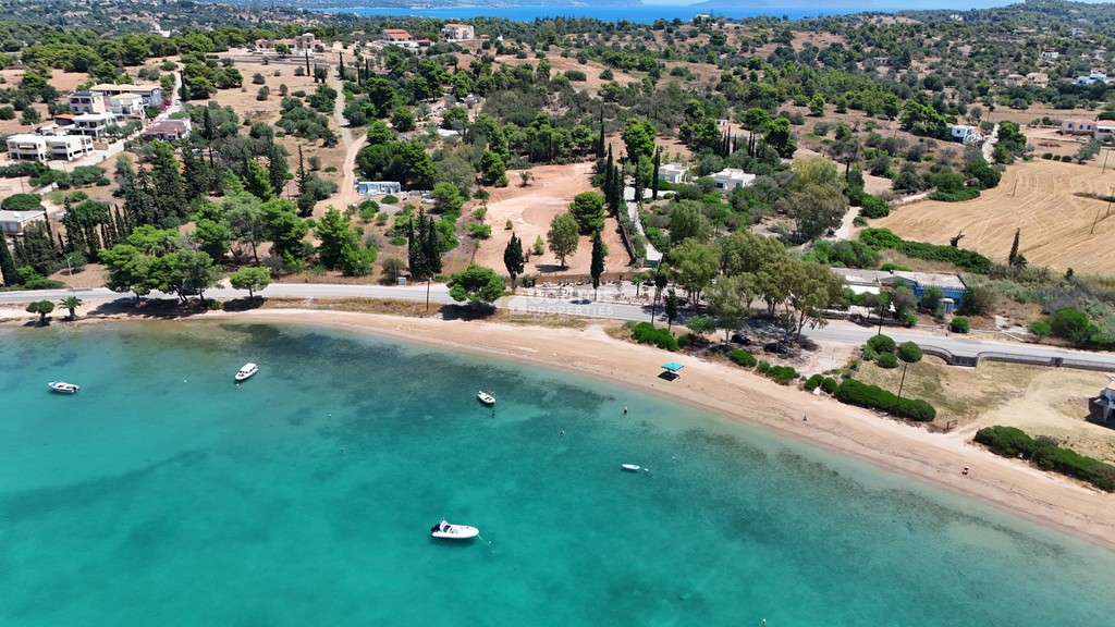 Αγροτεμάχια 4.000 τ.μ. προς πώληση, Αργολίδα, Κρανίδι