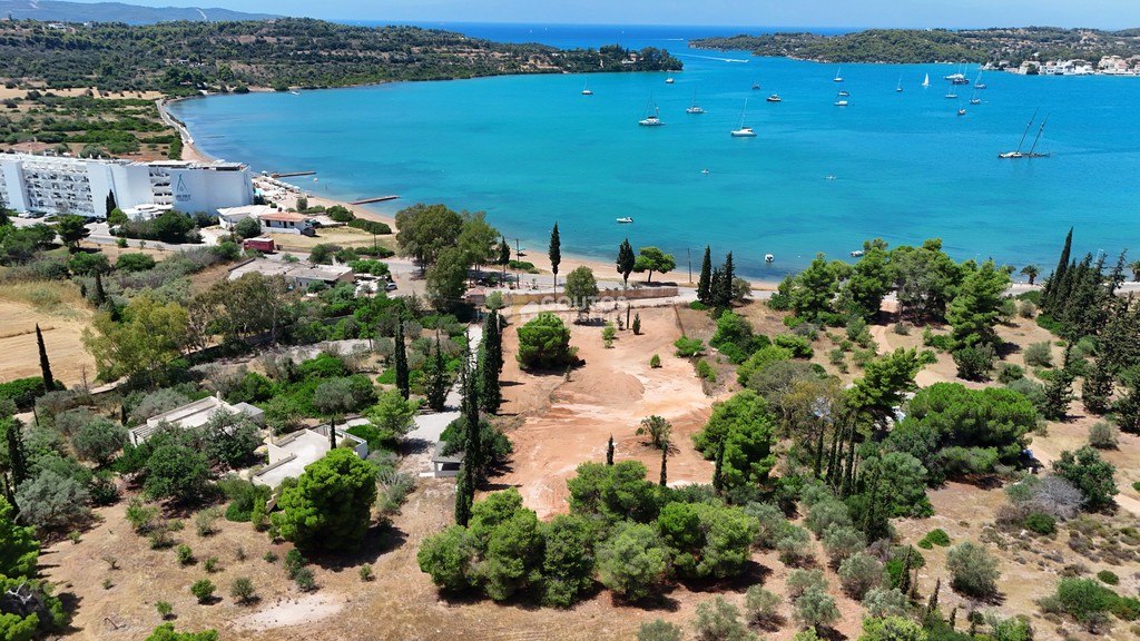 Αγροτεμάχια 4.000 τ.μ. προς πώληση, Αργολίδα, Κρανίδι