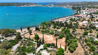Αγροτεμάχια 4.000 τ.μ. προς πώληση, Πορτοχέλι-thumb-16