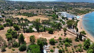 Αγροτεμάχια 4.000 τ.μ. προς πώληση, Πορτοχέλι-thumb-10