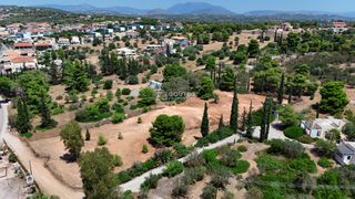 Αγροτεμάχια 4.000 τ.μ. προς πώληση, Πορτοχέλι-thumb-18