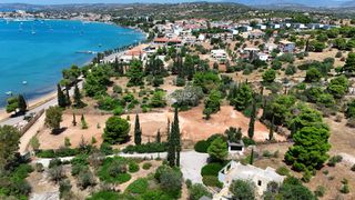 Αγροτεμάχια 4.000 τ.μ. προς πώληση, Πορτοχέλι-thumb-4