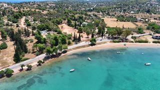 Αγροτεμάχια 4.000 τ.μ. προς πώληση, Πορτοχέλι-thumb-8