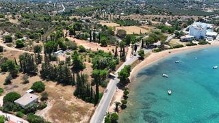 Αγροτεμάχια 4.000 τ.μ. προς πώληση, Πορτοχέλι-thumb-19