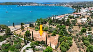 Αγροτεμάχια 4.000 τ.μ. για πώληση