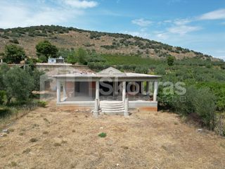 Μονοκατοικία 167 τ.μ. για πώληση, Αργολίδα, Λέρνα-thumb-4