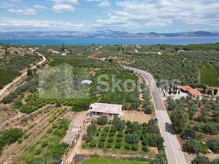 Μονοκατοικία 167 τ.μ. για πώληση, Αργολίδα, Λέρνα-thumb-14