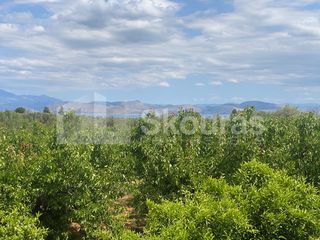 Μονοκατοικία 167 τ.μ. για πώληση, Αργολίδα, Λέρνα-thumb-13