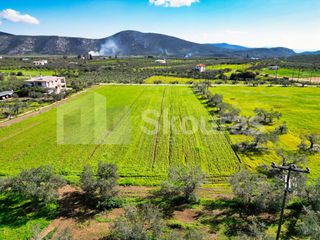 Οικόπεδο 3.435 τ.μ. για πώληση, Αργολίδα, Επίδαυρος-thumb-12