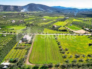 Οικόπεδο 3.435 τ.μ. για πώληση, Αργολίδα, Επίδαυρος-thumb-10