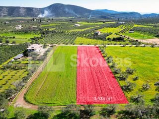Οικόπεδο 3.435 τ.μ. για πώληση, Αργολίδα, Επίδαυρος-thumb-1