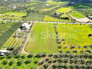 Οικόπεδο 3.435 τ.μ. για πώληση, Αργολίδα, Επίδαυρος-thumb-14