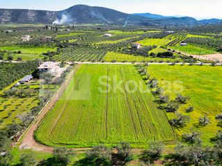 Οικόπεδο 3.435 τ.μ. για πώληση, Αργολίδα, Επίδαυρος-thumb-11
