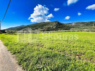 Οικόπεδο 3.435 τ.μ. για πώληση, Αργολίδα, Επίδαυρος-thumb-21