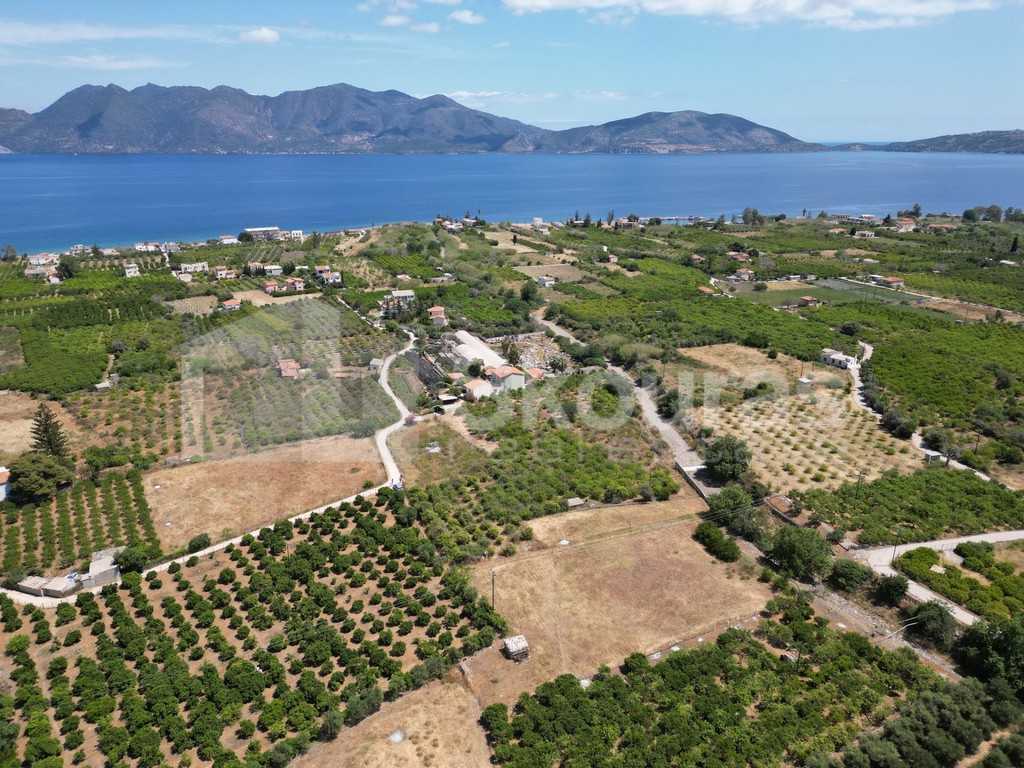 Οικόπεδο 2.250 τ.μ. προς πώληση, Καλλονή Τροιζήνας