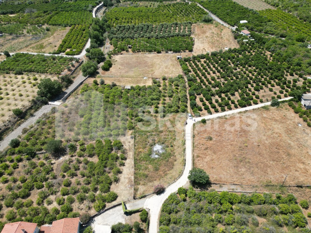 Οικόπεδο 2.250 τ.μ. προς πώληση, Καλλονή Τροιζήνας