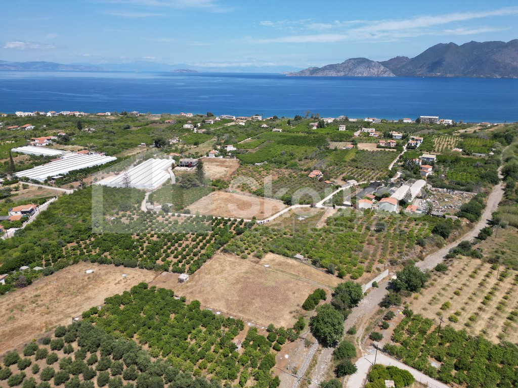Οικόπεδο 2.250 τ.μ. προς πώληση, Καλλονή Τροιζήνας