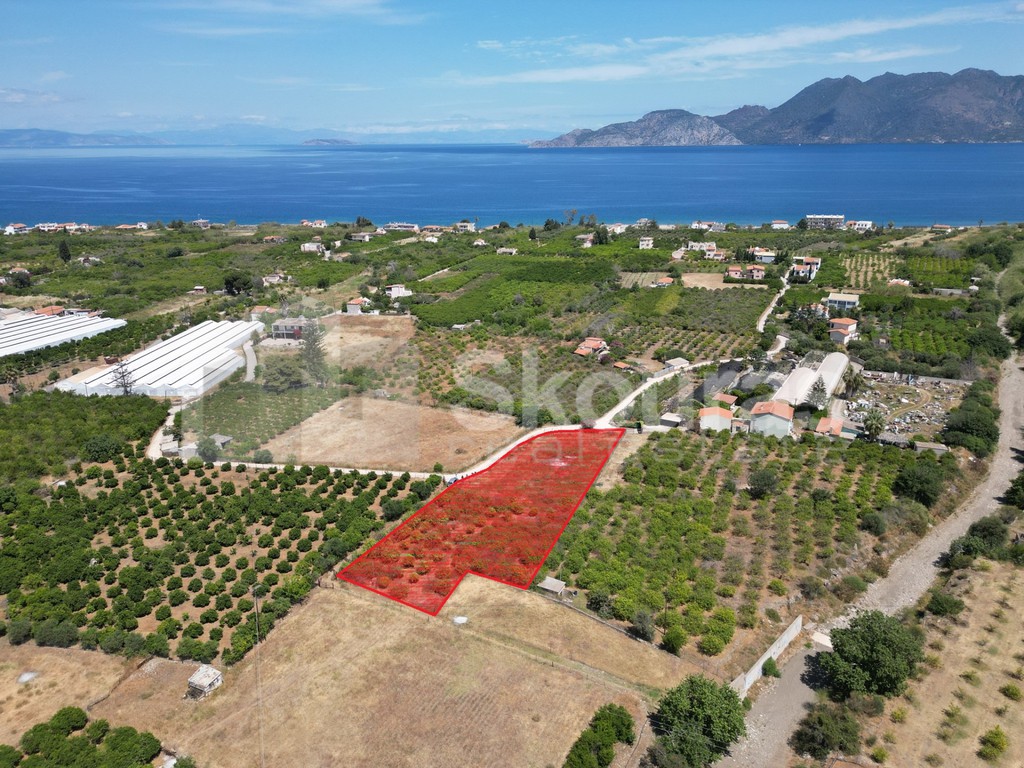 Οικόπεδο 2.250 τ.μ. προς πώληση, Καλλονή Τροιζήνας