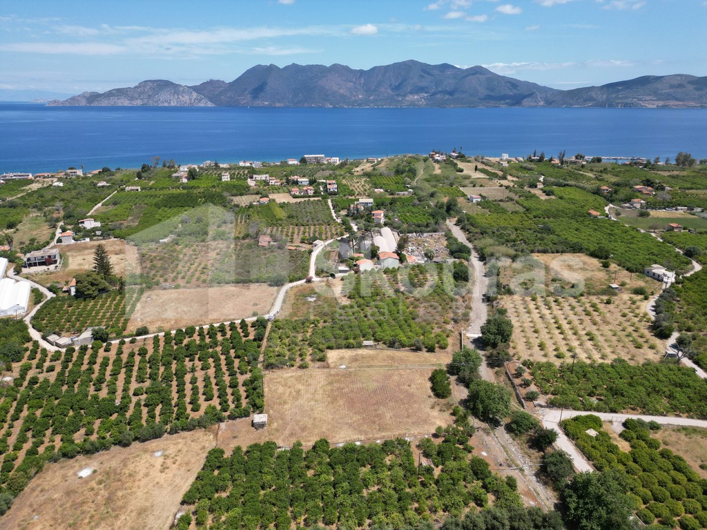 Οικόπεδο 2.250 τ.μ. προς πώληση, Καλλονή Τροιζήνας
