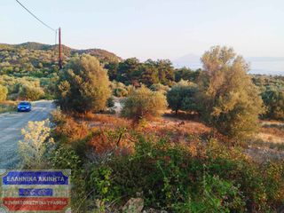 Οικόπεδο 2.890 τ.μ. για πώληση, Ν. Καβάλας, Θάσος-thumb-13