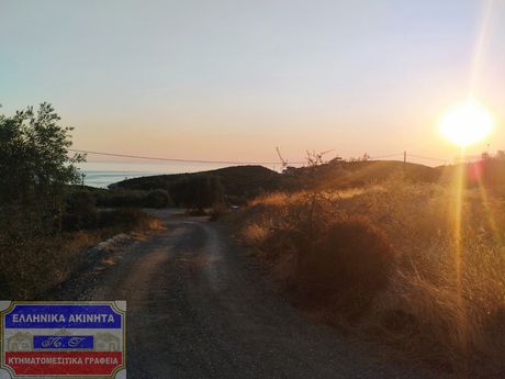Οικόπεδο 2.890τ.μ. για πώληση-Θάσος