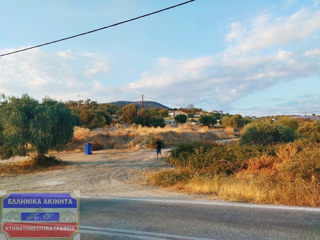 Οικόπεδο 2.890 τ.μ. προς πώληση, Σκάλα Μαριών