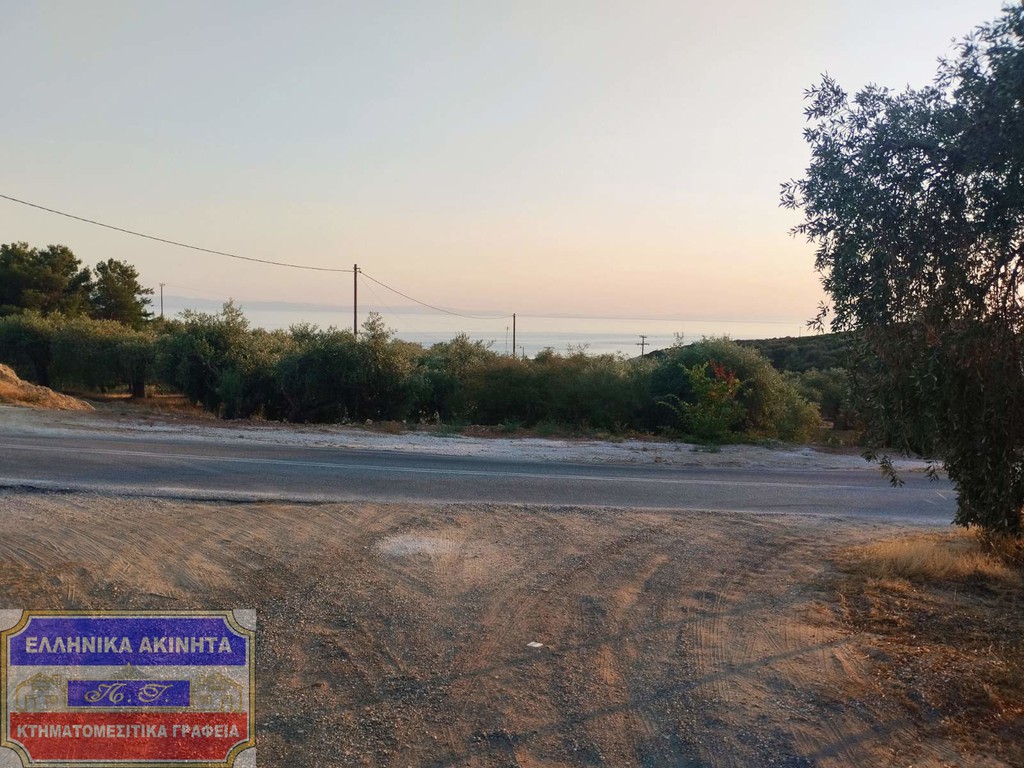 Οικόπεδο 2.890 τ.μ. προς πώληση, Σκάλα Μαριών