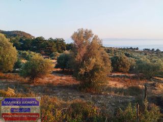 Οικόπεδο 2.890 τ.μ. για πώληση, Ν. Καβάλας, Θάσος-thumb-11
