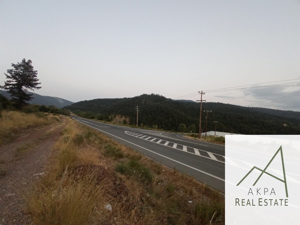 Οικόπεδο 4.800 τ.μ. προς πώληση, Κέντρο Καρπενησίου