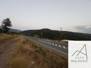 Οικόπεδο 4.800 τ.μ. για πώληση