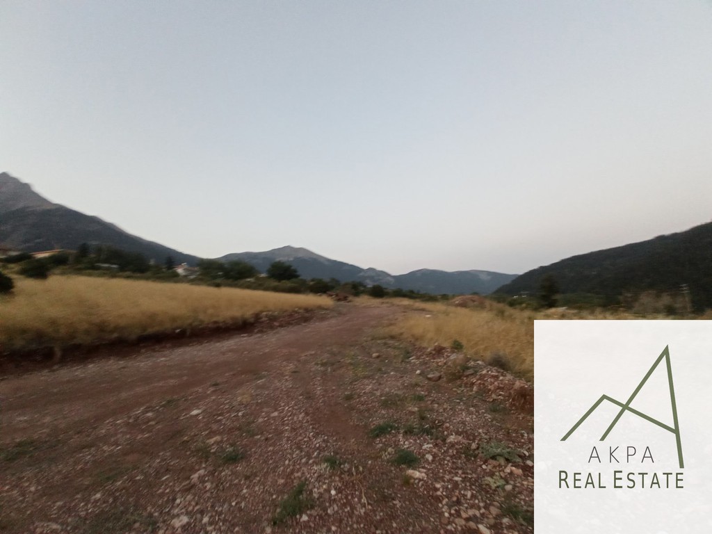 Οικόπεδο 4.800 τ.μ. προς πώληση, Κέντρο Καρπενησίου