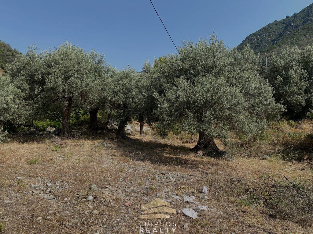 Οικόπεδο 1.636 τ.μ. προς πώληση, Ήλια Αιδηψού