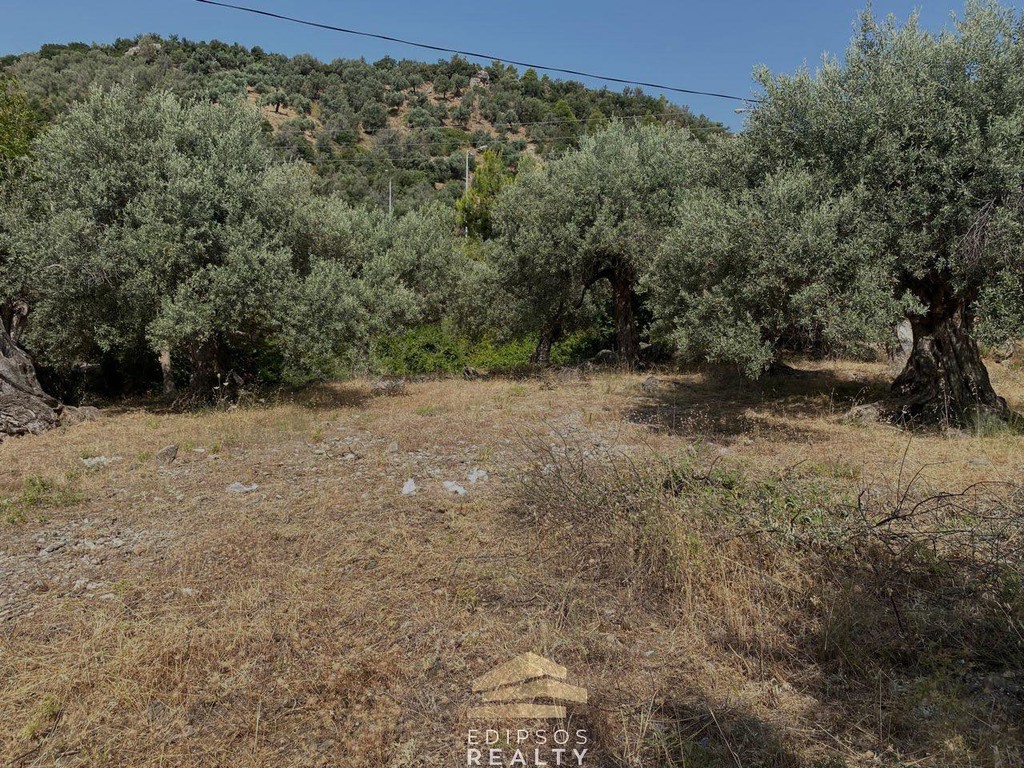 Οικόπεδο 1.636 τ.μ. προς πώληση, Ήλια Αιδηψού