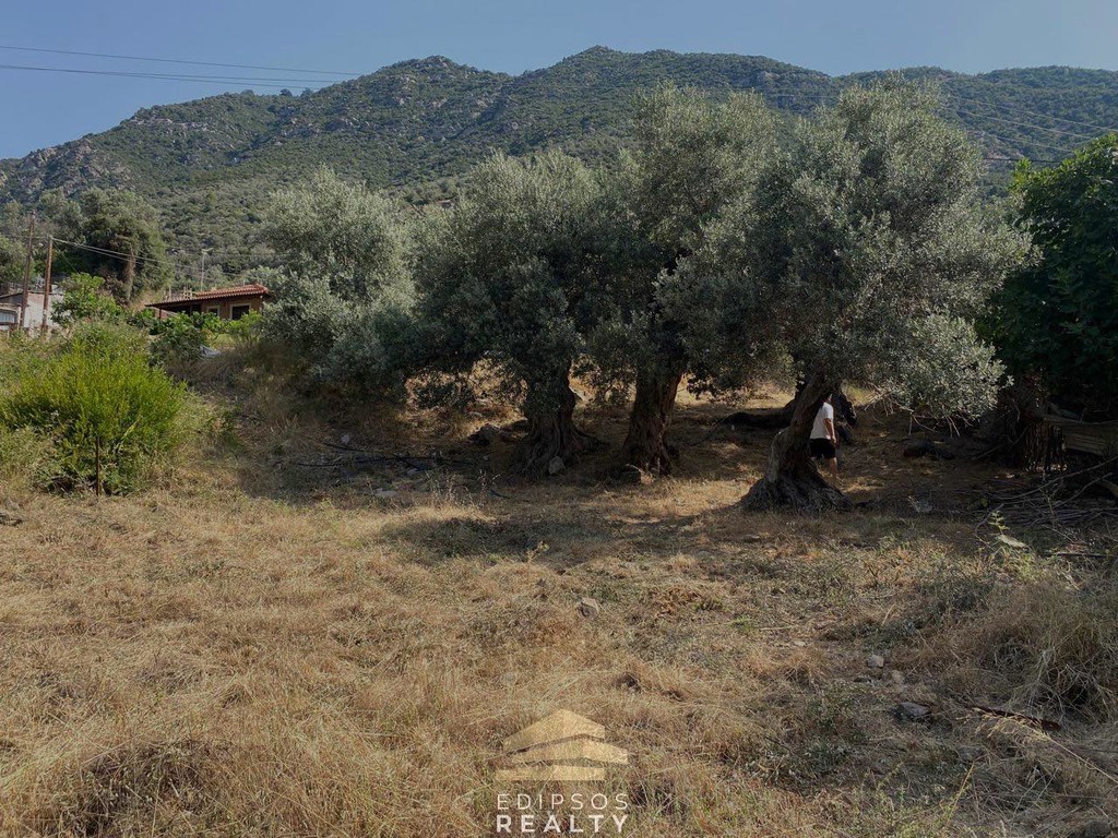 Οικόπεδο 1.636 τ.μ. προς πώληση, Ήλια Αιδηψού