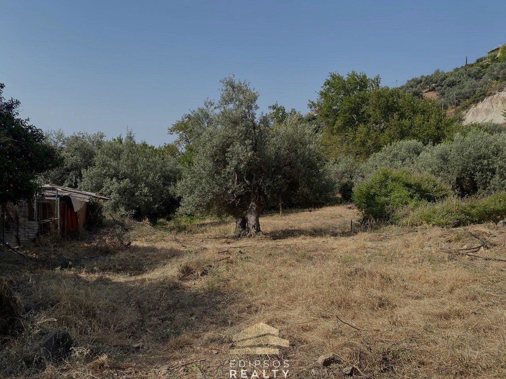Οικόπεδο 1.636 τ.μ. προς πώληση, Ήλια Αιδηψού