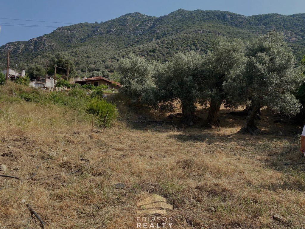 Οικόπεδο 1.636 τ.μ. προς πώληση, Ήλια Αιδηψού