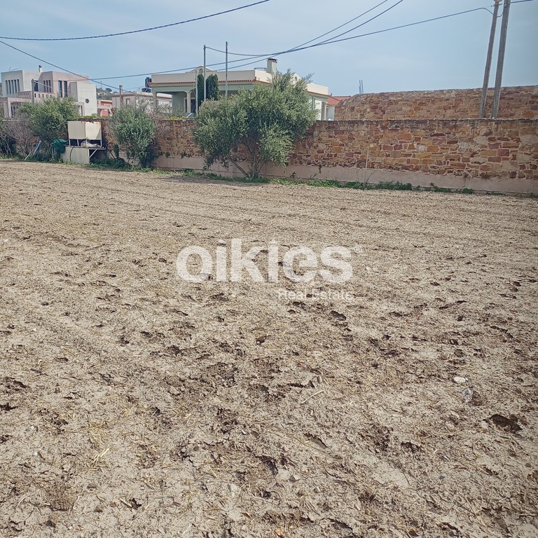 Οικόπεδο 1.346 τ.μ. προς πώληση, Καμποχώρια