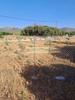 Land plot 1.500sqm for sale-Marathonas